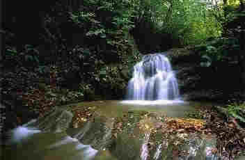 Waterfall of Amiata
